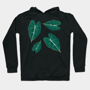 Monstera Leaf Alocasia Illustration Hoodie